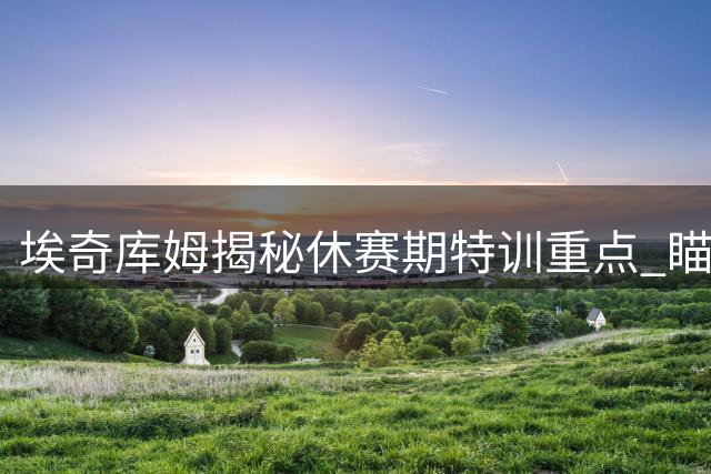 埃奇库姆揭秘休赛期特训重点 瞄准76人体系新机遇